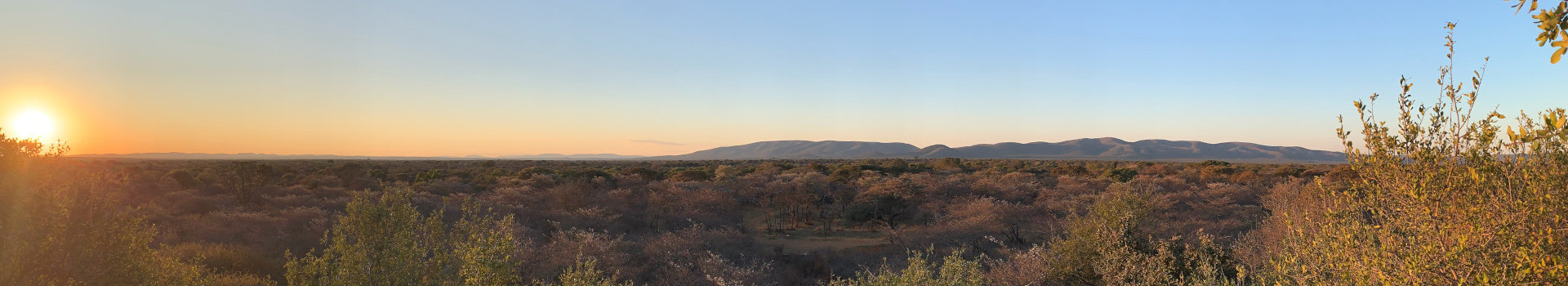 Südafrika Bushveld