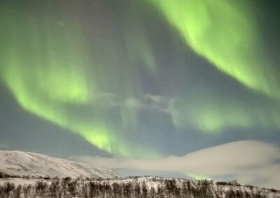 Jagdreise Lappland: Elch, Federwild, Raubwild